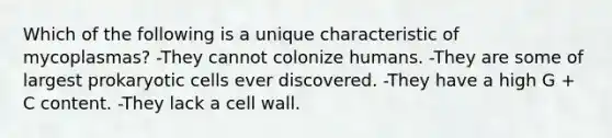 Which of the following is a unique characteristic of mycoplasmas? -They cannot colonize humans. -They are some of largest prokaryotic cells ever discovered. -They have a high G + C content. -They lack a cell wall.