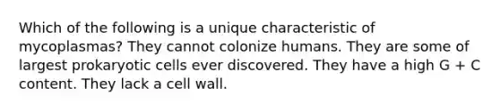 Which of the following is a unique characteristic of mycoplasmas? They cannot colonize humans. They are some of largest prokaryotic cells ever discovered. They have a high G + C content. They lack a cell wall.