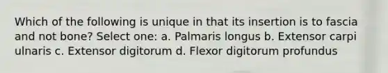 Which of the following is unique in that its insertion is to fascia and not bone? Select one: a. Palmaris longus b. Extensor carpi ulnaris c. Extensor digitorum d. Flexor digitorum profundus