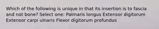 Which of the following is unique in that its insertion is to fascia and not bone? Select one: Palmaris longus Extensor digitorum Extensor carpi ulnaris Flexor digitorum profundus