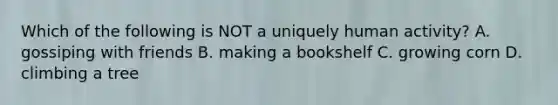 Which of the following is NOT a uniquely human activity? A. gossiping with friends B. making a bookshelf C. growing corn D. climbing a tree