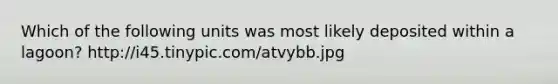 Which of the following units was most likely deposited within a lagoon? http://i45.tinypic.com/atvybb.jpg