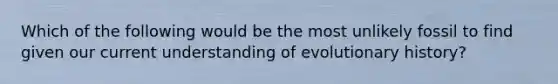 Which of the following would be the most unlikely fossil to find given our current understanding of evolutionary history?