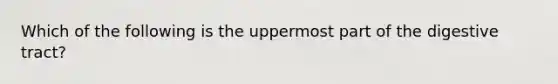 Which of the following is the uppermost part of the digestive tract?