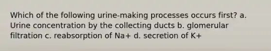 Which of the following urine-making processes occurs first? a. Urine concentration by the collecting ducts b. glomerular filtration c. reabsorption of Na+ d. secretion of K+