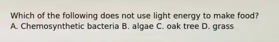 Which of the following does not use light energy to make food? A. Chemosynthetic bacteria B. algae C. oak tree D. grass