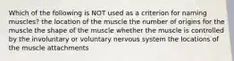 Which of the following is NOT used as a criterion for naming muscles? the location of the muscle the number of origins for the muscle the shape of the muscle whether the muscle is controlled by the involuntary or voluntary nervous system the locations of the muscle attachments