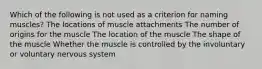 Which of the following is not used as a criterion for naming muscles? The locations of muscle attachments The number of origins for the muscle The location of the muscle The shape of the muscle Whether the muscle is controlled by the involuntary or voluntary nervous system