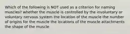 Which of the following is NOT used as a criterion for naming muscles? whether the muscle is controlled by the involuntary or voluntary nervous system the location of the muscle the number of origins for the muscle the locations of the muscle attachments the shape of the muscle