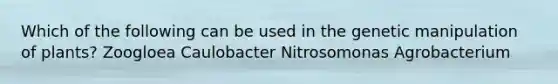 Which of the following can be used in the genetic manipulation of plants? Zoogloea Caulobacter Nitrosomonas Agrobacterium