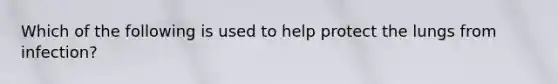 Which of the following is used to help protect the lungs from infection?