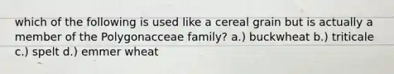 which of the following is used like a cereal grain but is actually a member of the Polygonacceae family? a.) buckwheat b.) triticale c.) spelt d.) emmer wheat