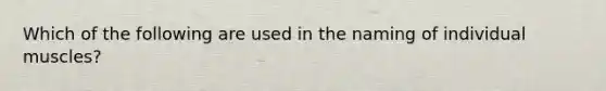 Which of the following are used in the naming of individual muscles?