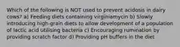 Which of the following is NOT used to prevent acidosis in dairy cows? a) Feeding diets containing virginiamycin b) Slowly introducing high-grain diets to allow development of a population of lactic acid utilising bacteria c) Encouraging rumination by providing scratch factor d) Providing pH buffers in the diet