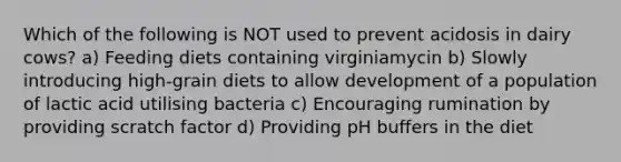 Which of the following is NOT used to prevent acidosis in dairy cows? a) Feeding diets containing virginiamycin b) Slowly introducing high-grain diets to allow development of a population of lactic acid utilising bacteria c) Encouraging rumination by providing scratch factor d) Providing pH buffers in the diet