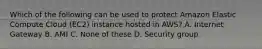 Which of the following can be used to protect Amazon Elastic Compute Cloud (EC2) instance hosted in AWS? A. Internet Gateway B. AMI C. None of these D. Security group