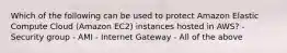 Which of the following can be used to protect Amazon Elastic Compute Cloud (Amazon EC2) instances hosted in AWS? - Security group - AMI - Internet Gateway - All of the above