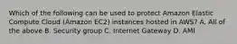 Which of the following can be used to protect Amazon Elastic Compute Cloud (Amazon EC2) instances hosted in AWS? A. All of the above B. Security group C. Internet Gateway D. AMI