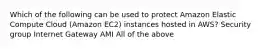 Which of the following can be used to protect Amazon Elastic Compute Cloud (Amazon EC2) instances hosted in AWS? Security group Internet Gateway AMI All of the above