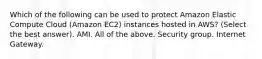 Which of the following can be used to protect Amazon Elastic Compute Cloud (Amazon EC2) instances hosted in AWS? (Select the best answer). AMI. All of the above. Security group. Internet Gateway.