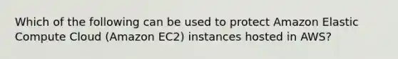 Which of the following can be used to protect Amazon Elastic Compute Cloud (Amazon EC2) instances hosted in AWS?