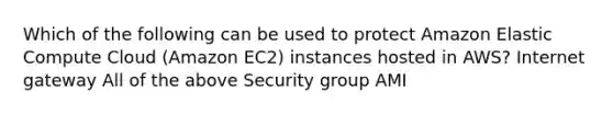 Which of the following can be used to protect Amazon Elastic Compute Cloud (Amazon EC2) instances hosted in AWS? Internet gateway All of the above Security group AMI