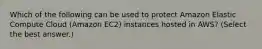 Which of the following can be used to protect Amazon Elastic Compute Cloud (Amazon EC2) instances hosted in AWS? (Select the best answer.)