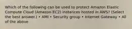 Which of the following can be used to protect Amazon Elastic Compute Cloud (Amazon EC2) instances hosted in AWS? (Select the best answer.) • AMI • Security group • Internet Gateway • All of the above