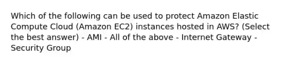 Which of the following can be used to protect Amazon Elastic Compute Cloud (Amazon EC2) instances hosted in AWS? (Select the best answer) - AMI - All of the above - Internet Gateway - Security Group