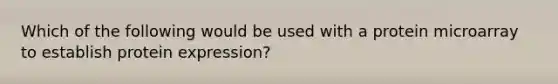 Which of the following would be used with a protein microarray to establish protein expression?