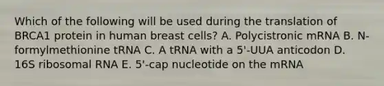 Which of the following will be used during the translation of BRCA1 protein in human breast cells? A. Polycistronic mRNA B. N-formylmethionine tRNA C. A tRNA with a 5'-UUA anticodon D. 16S ribosomal RNA E. 5'-cap nucleotide on the mRNA