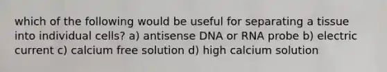 which of the following would be useful for separating a tissue into individual cells? a) antisense DNA or RNA probe b) electric current c) calcium free solution d) high calcium solution