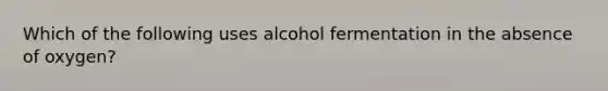 Which of the following uses alcohol fermentation in the absence of oxygen?