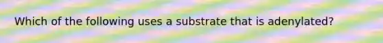 Which of the following uses a substrate that is adenylated?