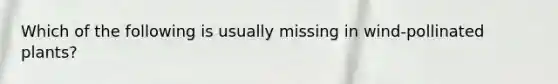 Which of the following is usually missing in wind-pollinated plants?