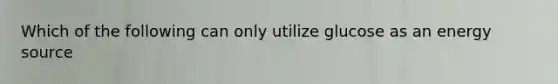 Which of the following can only utilize glucose as an energy source