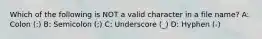 Which of the following is NOT a valid character in a file name? A: Colon (:) B: Semicolon (;) C: Underscore (_) D: Hyphen (-)