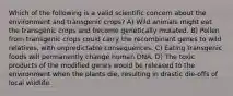 Which of the following is a valid scientific concern about the environment and transgenic crops? A) Wild animals might eat the transgenic crops and become genetically mutated. B) Pollen from transgenic crops could carry the recombinant genes to wild relatives, with unpredictable consequences. C) Eating transgenic foods will permanently change human DNA. D) The toxic products of the modified genes would be released to the environment when the plants die, resulting in drastic die-offs of local wildlife.