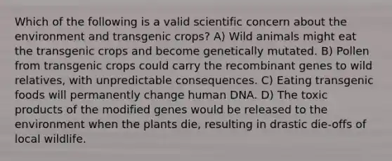 Which of the following is a valid scientific concern about the environment and transgenic crops? A) Wild animals might eat the transgenic crops and become genetically mutated. B) Pollen from transgenic crops could carry the recombinant genes to wild relatives, with unpredictable consequences. C) Eating transgenic foods will permanently change human DNA. D) The toxic products of the modified genes would be released to the environment when the plants die, resulting in drastic die-offs of local wildlife.