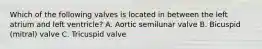 Which of the following valves is located in between the left atrium and left ventricle? A. Aortic semilunar valve B. Bicuspid (mitral) valve C. Tricuspid valve