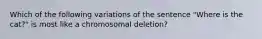 Which of the following variations of the sentence "Where is the cat?" is most like a chromosomal deletion?