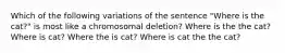 Which of the following variations of the sentence "Where is the cat?" is most like a chromosomal deletion? Where is the the cat? Where is cat? Where the is cat? Where is cat the the cat?