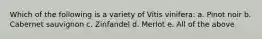 Which of the following is a variety of Vitis vinifera: a. Pinot noir b. Cabernet sauvignon c. Zinfandel d. Merlot e. All of the above