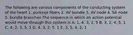 The following are various components of the conducting system of the heart 1. purkinje fibers 2. AV bundle 3. AV node 4. SA node 5. bundle branches The sequence in which an action potential would move through this system is A. 1, 4, 3, 2, 5 B. 3, 2, 4, 5, 1 C. 4, 2, 3, 5, 1 D. 4, 3, 2, 5, 1 E. 3, 5, 4, 2, 1