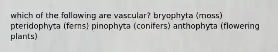 which of the following are vascular? bryophyta (moss) pteridophyta (ferns) pinophyta (conifers) anthophyta (flowering plants)