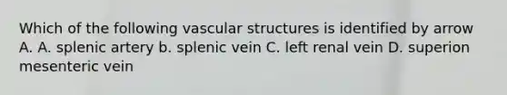 Which of the following vascular structures is identified by arrow A. A. splenic artery b. splenic vein C. left renal vein D. superion mesenteric vein