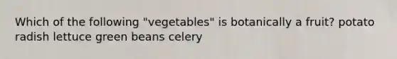 Which of the following "vegetables" is botanically a fruit? potato radish lettuce green beans celery