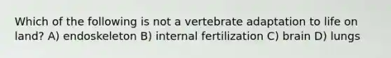 Which of the following is not a vertebrate adaptation to life on land? A) endoskeleton B) internal fertilization C) brain D) lungs