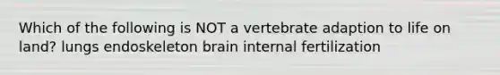 Which of the following is NOT a vertebrate adaption to <a href='https://www.questionai.com/knowledge/k9VzeMAjx8-life-on-land' class='anchor-knowledge'>life on land</a>? lungs endoskeleton brain internal fertilization