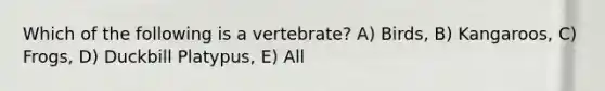 Which of the following is a vertebrate? A) Birds, B) Kangaroos, C) Frogs, D) Duckbill Platypus, E) All